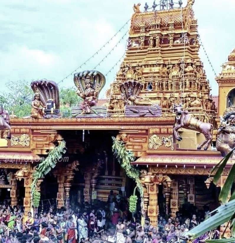 Newsthamizha